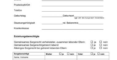 Fragebogen-zur-Anmeldung-2017-1 Fragebogen-zur-Anmeldung-2017-1